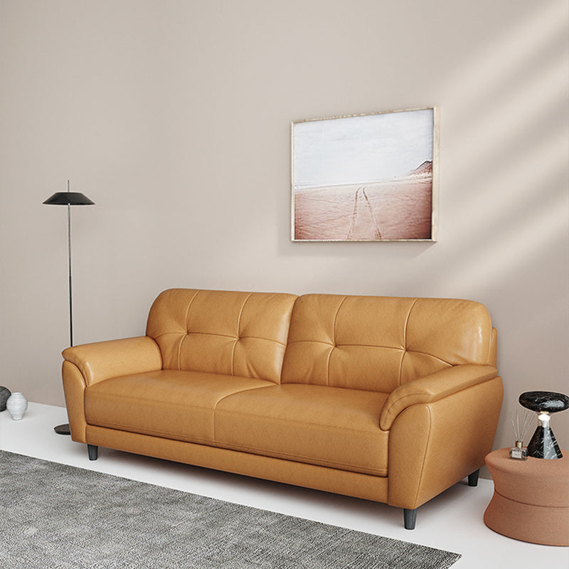 Stain Resistant Contemporary Pillow Top Arm Standard Settee Couch