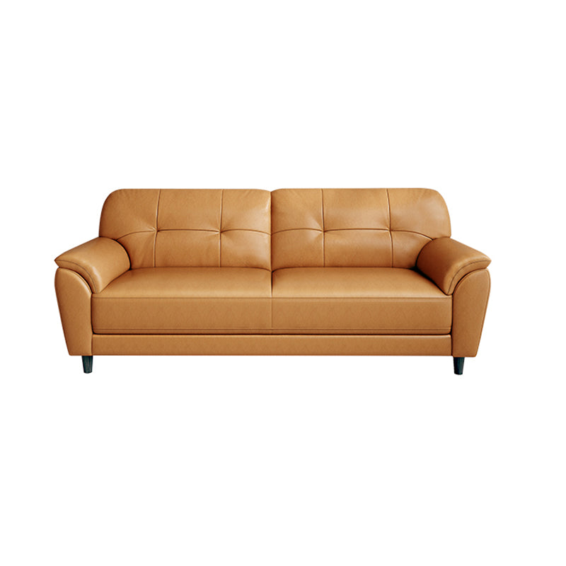 Stain Resistant Contemporary Pillow Top Arm Standard Settee Couch