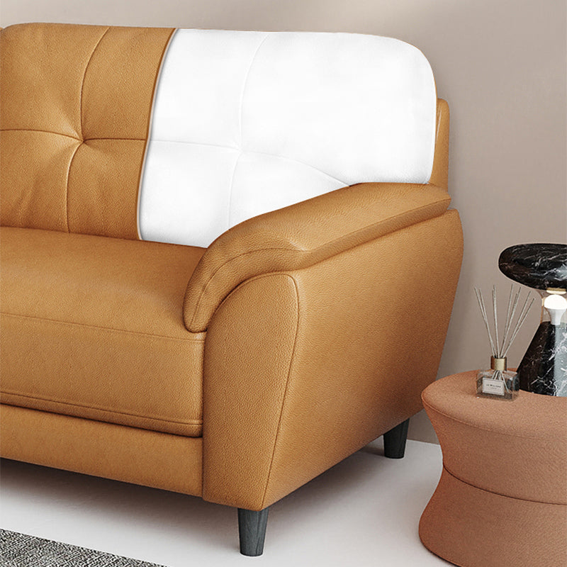 Stain Resistant Contemporary Pillow Top Arm Standard Settee Couch