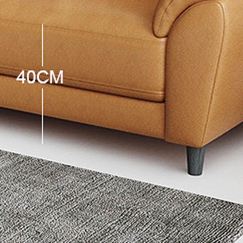 Stain Resistant Contemporary Pillow Top Arm Standard Settee Couch