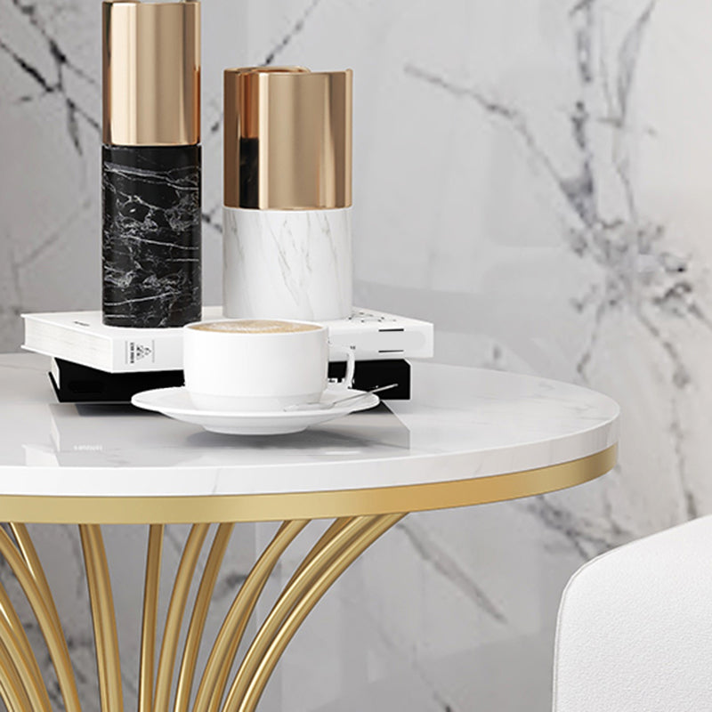 Modern Round Marble Top Side Table Ironcraft Pedestal End Table