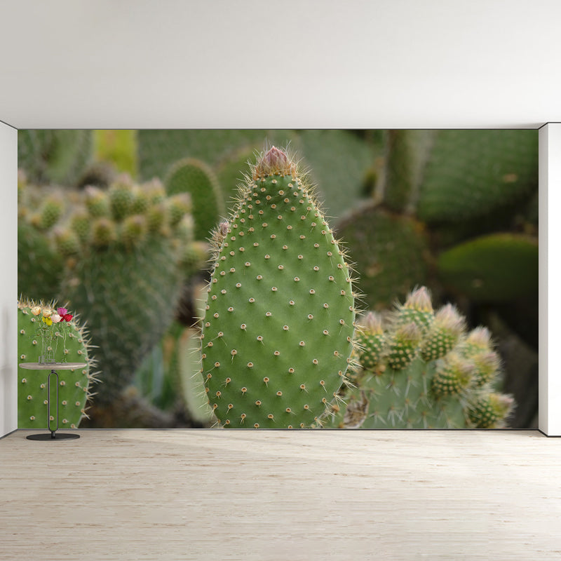 Decorative Wall Mural Cactus Printed Sitting Room Wall Mural