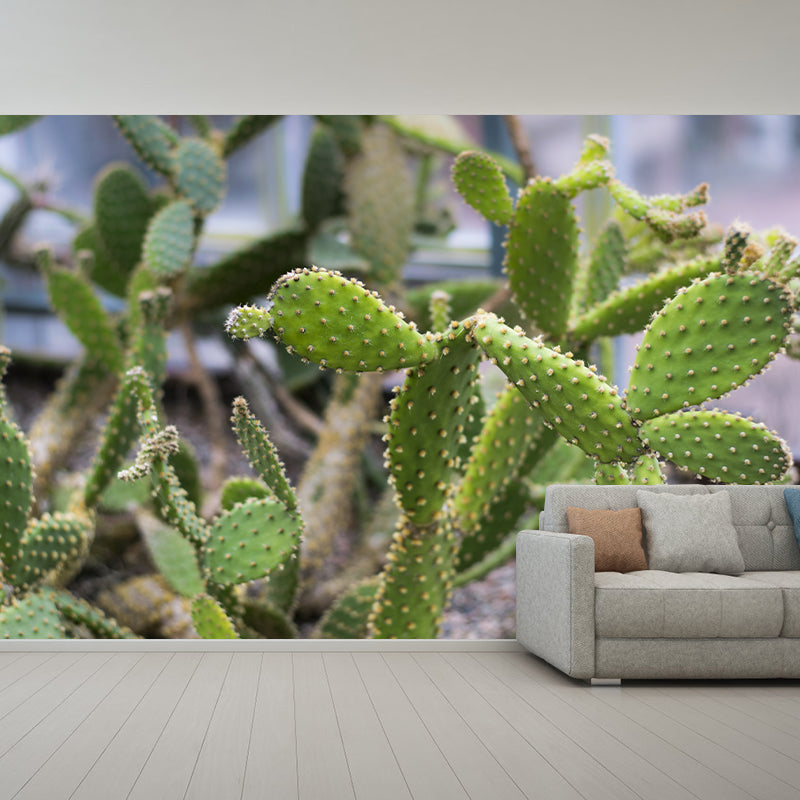 Decorative Wall Mural Cactus Printed Sitting Room Wall Mural