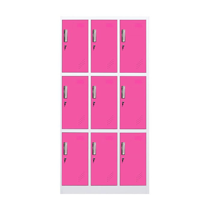 Metal Matte Finish Cabinet Contemporary Storage Cabinet with Hinged Door