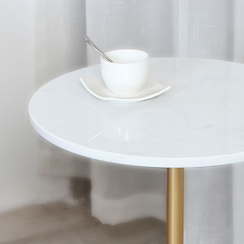 Modernistic Pedestal End Table Round End Table with Slate Top