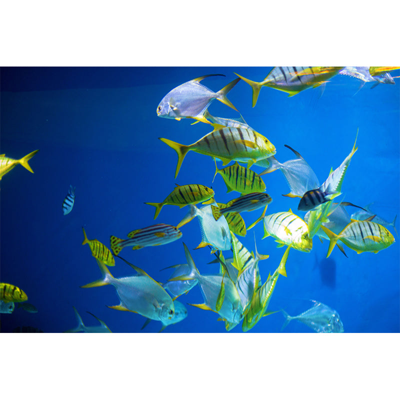 Decorative Wall Mural Fish Patterned Drawing Room Wall Mural