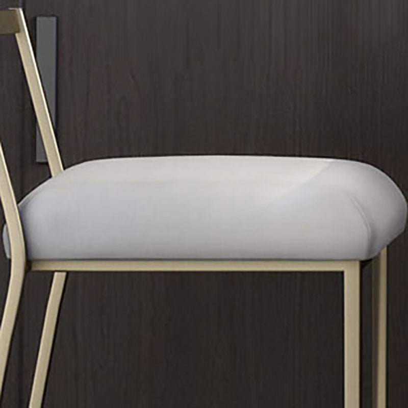 Glam Metal Dining Room Chair Armless Velvet Dining Side Chair for Restaurant Use