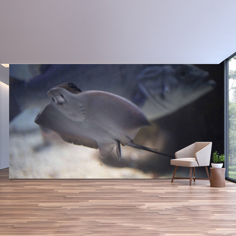 Photography Wall Mural Fish Patterned Living Room Wall Mural