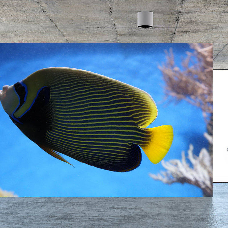 Attractive Wall Mural Fish Patterned Sitting Room Wall Mural