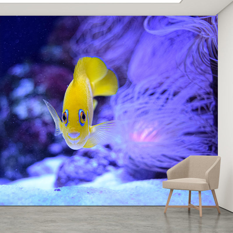 Photography Wall Mural Fish Patterned Sitting Room Wall Mural