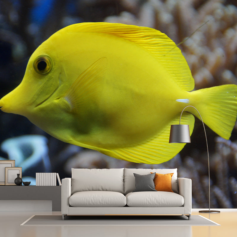 Attractive Wall Mural Fish Patterned Drawing Room Wall Mural