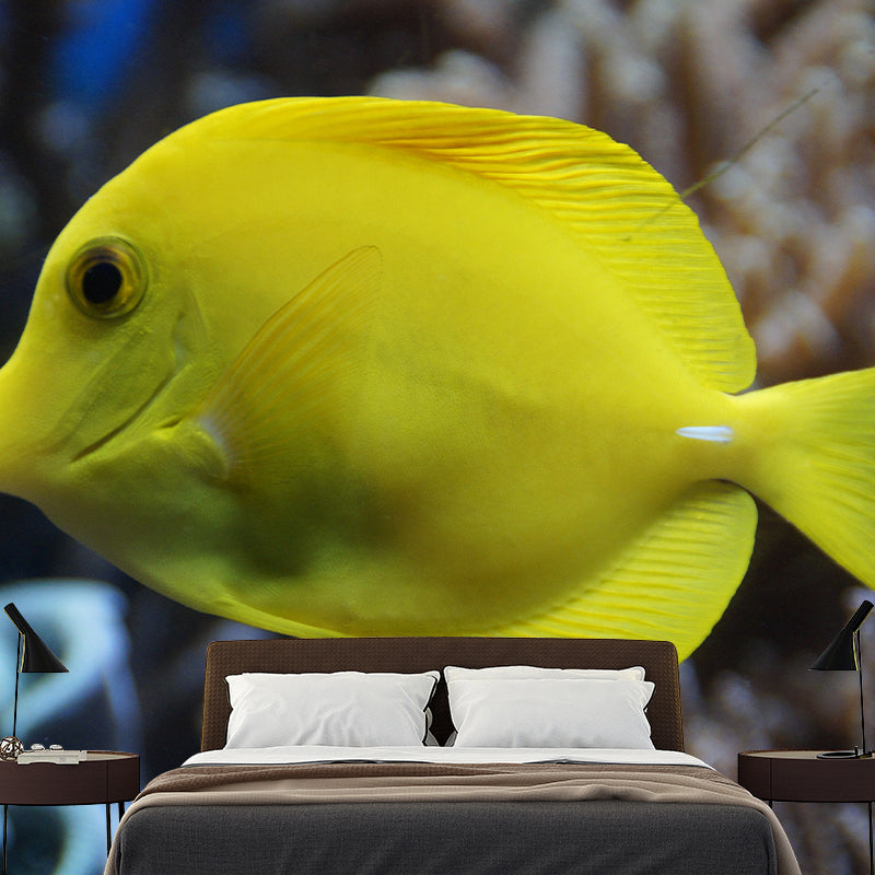 Attractive Wall Mural Fish Patterned Drawing Room Wall Mural