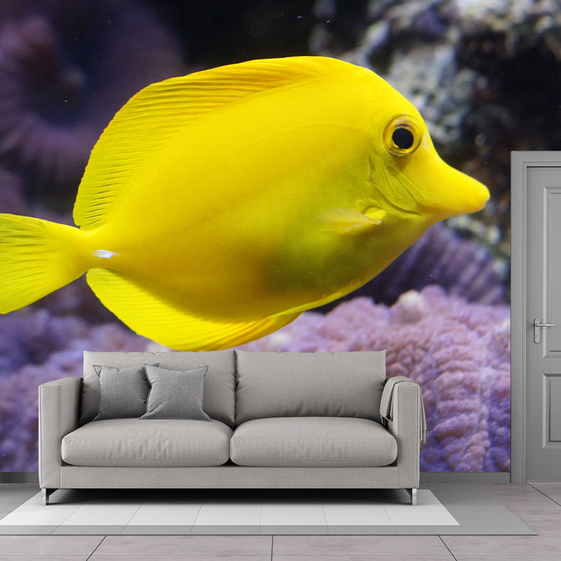 Attractive Wall Mural Fish Patterned Drawing Room Wall Mural
