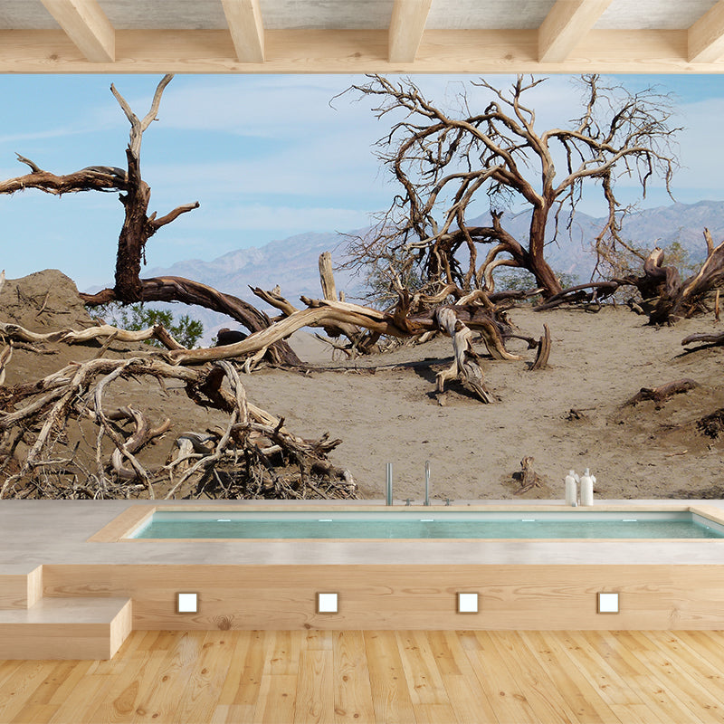 Landscapes Photography Wall Mural Stain Resistant Desert Contemporary House Murals