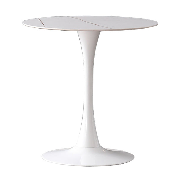 Modern Round Dining Set Stone 1/2/5 Pieces Dining Furniture in Matte Finish for Indoor