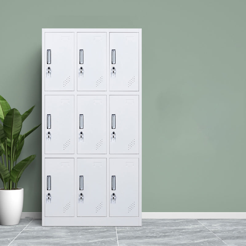 Metallic Finish Cabinet with Hinged Door Contemporary Storage Cabinet for Bathroom