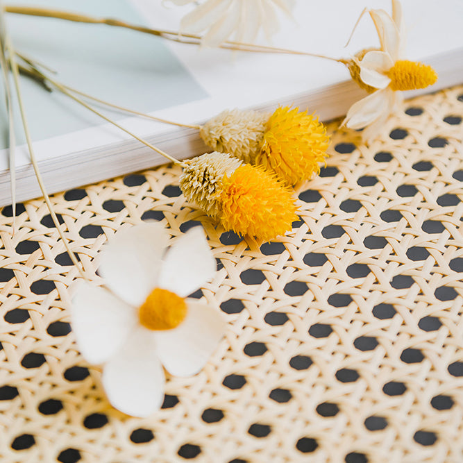 Contemporary Balcony Wood Arm Chair Matte Finish Open Dining Chair