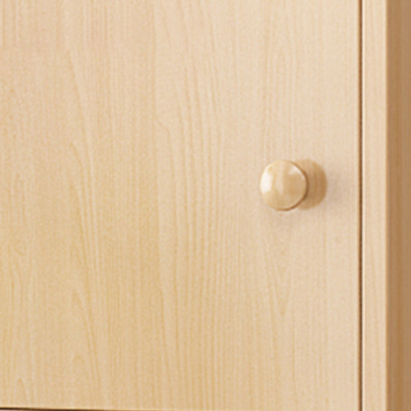 Contemporary Rectangle Wood  With Doors and Knobs Accent Cabinet