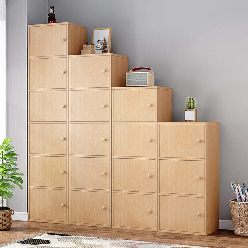 Contemporary Rectangle Wood  With Doors and Knobs Accent Cabinet