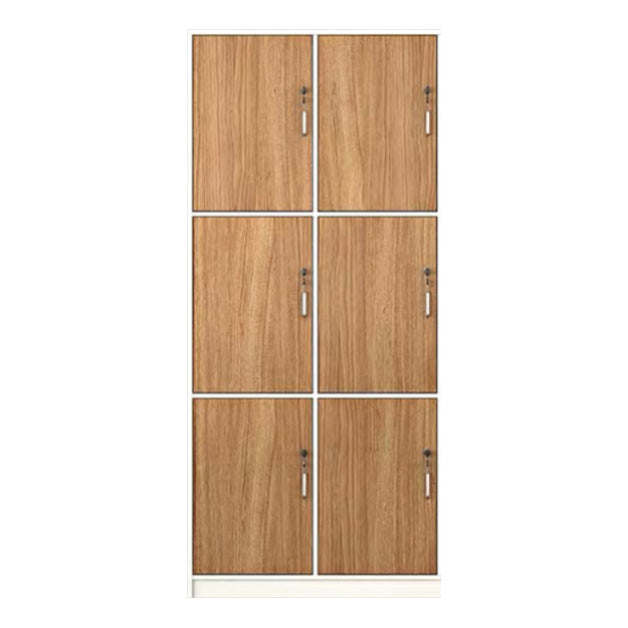 Natural Finish Indoor Cabinet Contemporary Storage Cabinet with Hinged Door