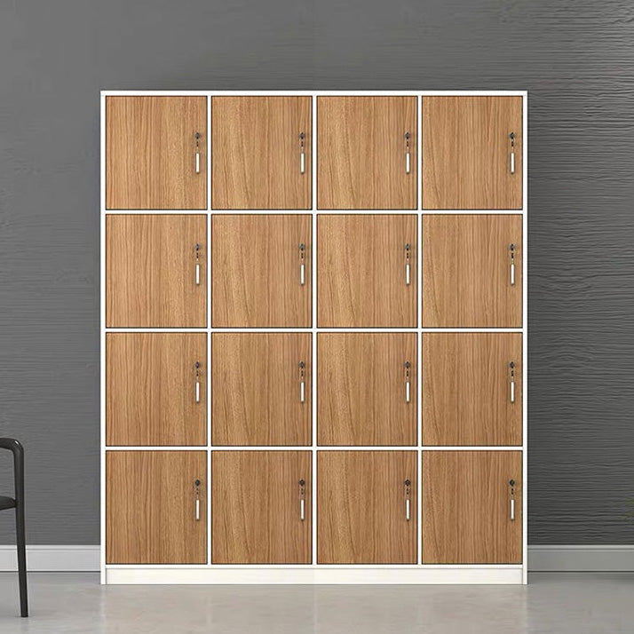 Natural Finish Indoor Cabinet Contemporary Storage Cabinet with Hinged Door