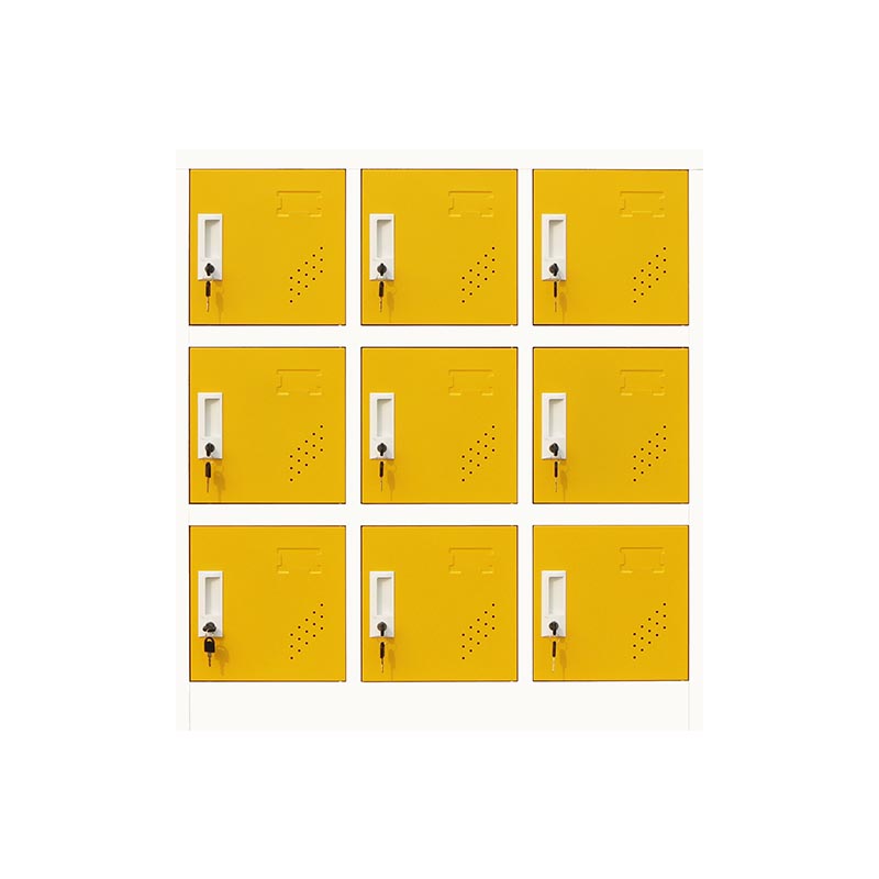 Hinged Contemporary Storage Cabinet Non-Hanging Armoire for Home