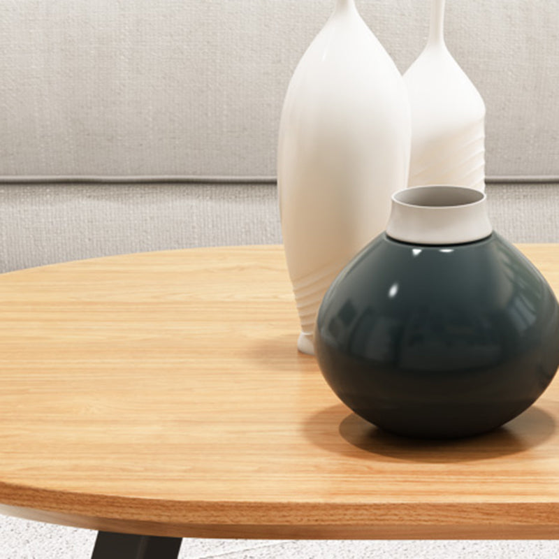 Solid Wood 2 Legs Coffee Table Modern Minimalist Coffee Table