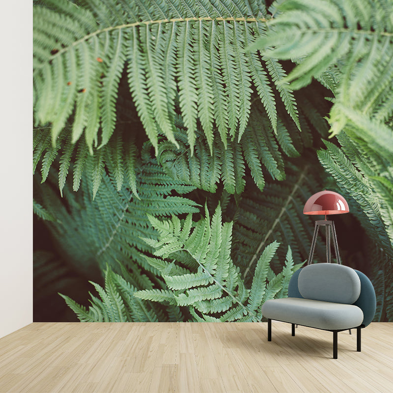 Exquisite Wall Mural Tropical Plant Leaf Print Sitting Room Wall Mural