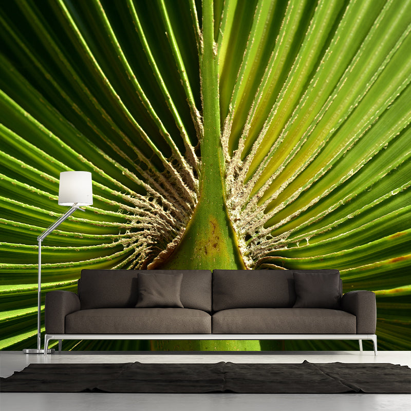 Alluring Wall Mural Tropical Plant Leaf Printed Drawing Room Wall Mural