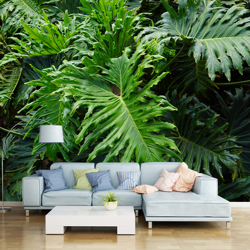 Attractive Wall Mural Tropical Plant Leaf Print Sitting Room Wall Mural