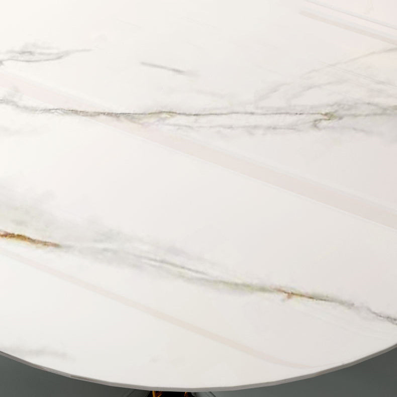 Contemporary Round Turntable Faux Leather Dining Set Stone 1/4/7 Pieces Dining Furniture