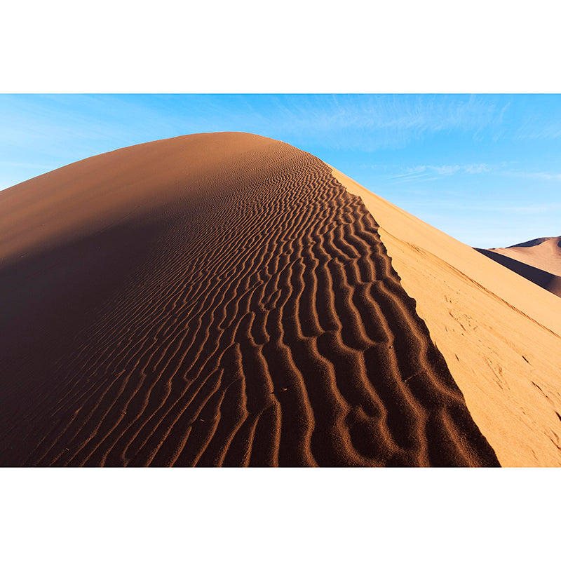 Decorative Landscapes Wall Mural Photography Mildew Resistant Desert Wall Murals for Home