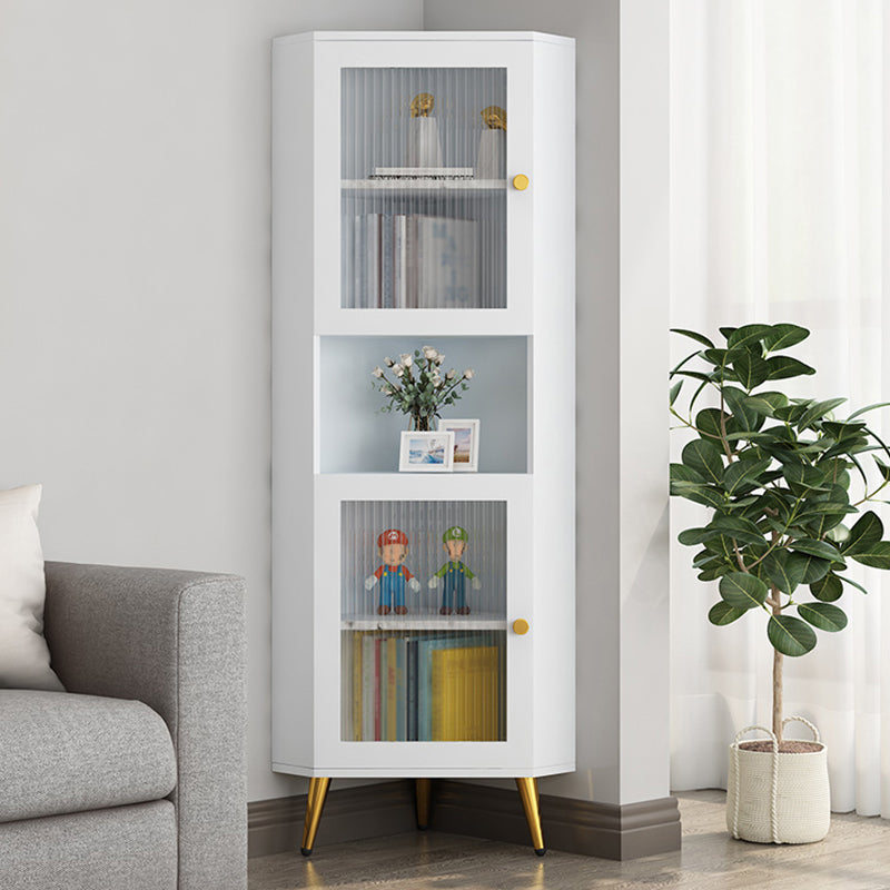 Contemporary Storage Cabinet with Shelf and Glass 2 - Door Cabinet