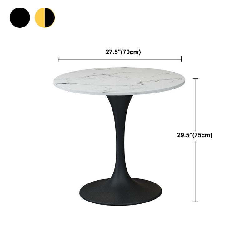 Modern Style Round Dining Table Sintered Stone Tulip Table for Dining Room