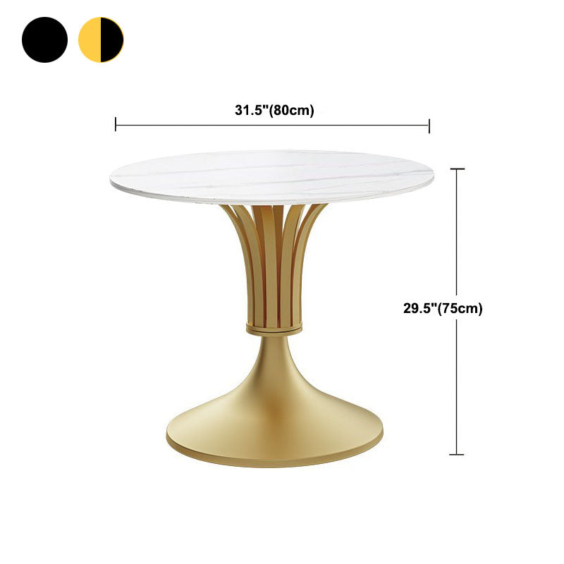 Modern Style Round Dining Table Sintered Stone Table with Pedestal Base