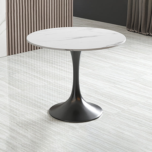 Modern Round Dining Table Sintered Stone Tulip Table for Dining Room