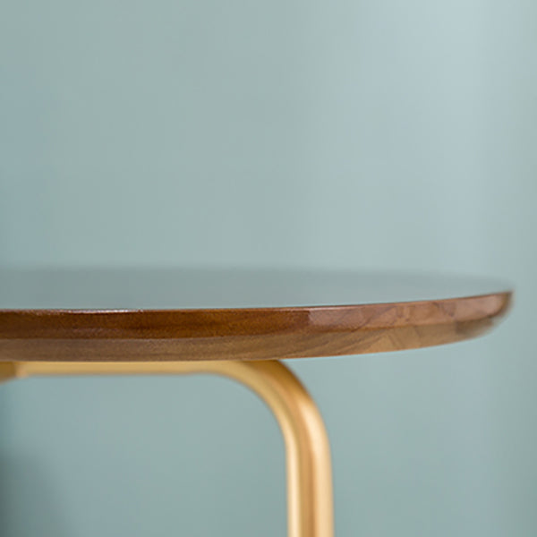 Wood Pedestal Side Table Modern Minimalist End Table for Living Room