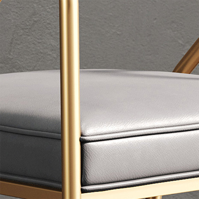 Glam Style 21.65" Wide Fixed Back Sponge Metal Frame Arm Chair