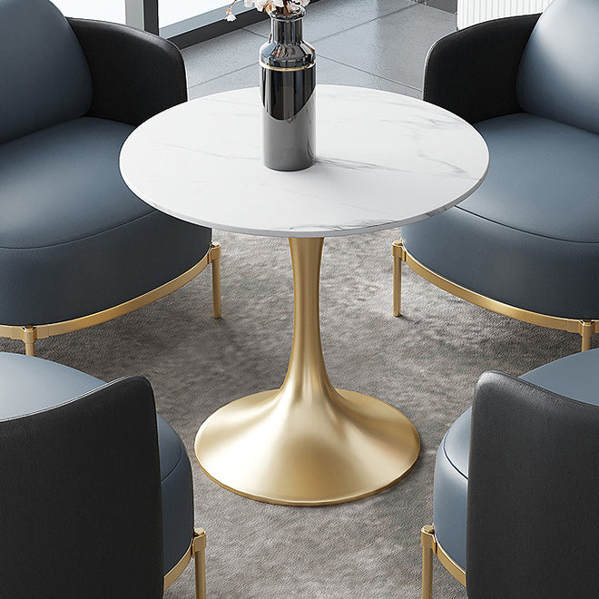 Modern Style Dining Table Tulip Sintered Stone Table for Dining Room