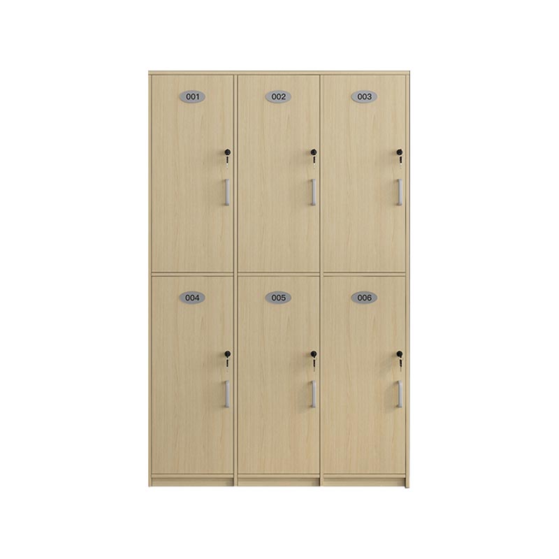 Natural Finish Cabinet with Hinged Door Contemporary Interior Storage Cabinet