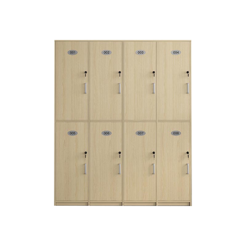 Natural Finish Cabinet with Hinged Door Contemporary Interior Storage Cabinet