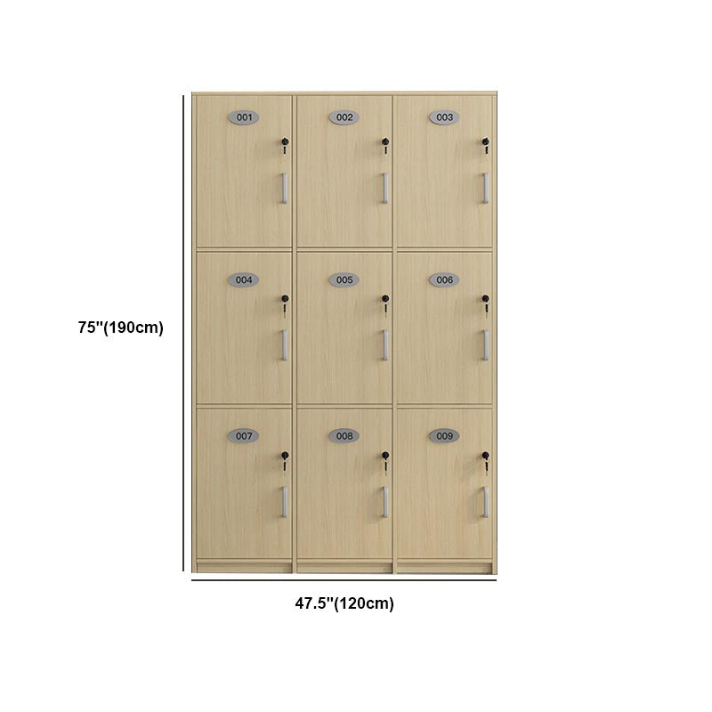 Natural Finish Cabinet with Hinged Door Contemporary Interior Storage Cabinet