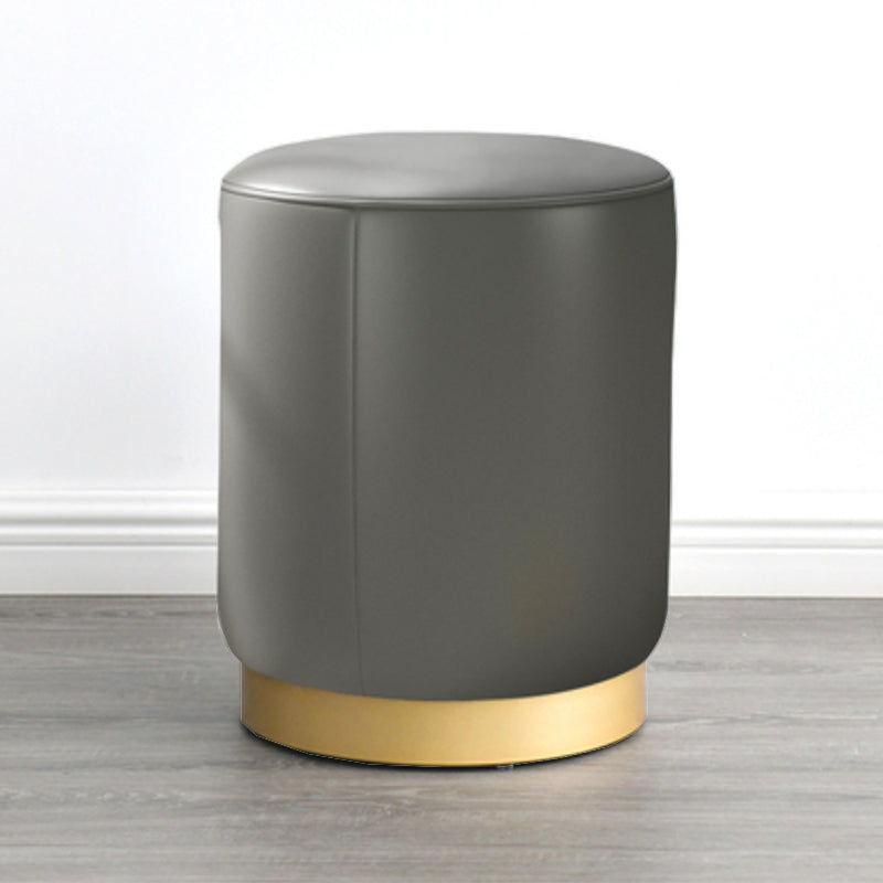 Modern Scratch Resistant Standard Round Velvet Indoor Standard