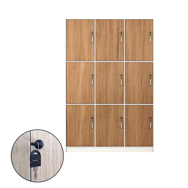 Contemporary Brown Storage Cabinet Manufactured Wood Hinged Door Cabinet