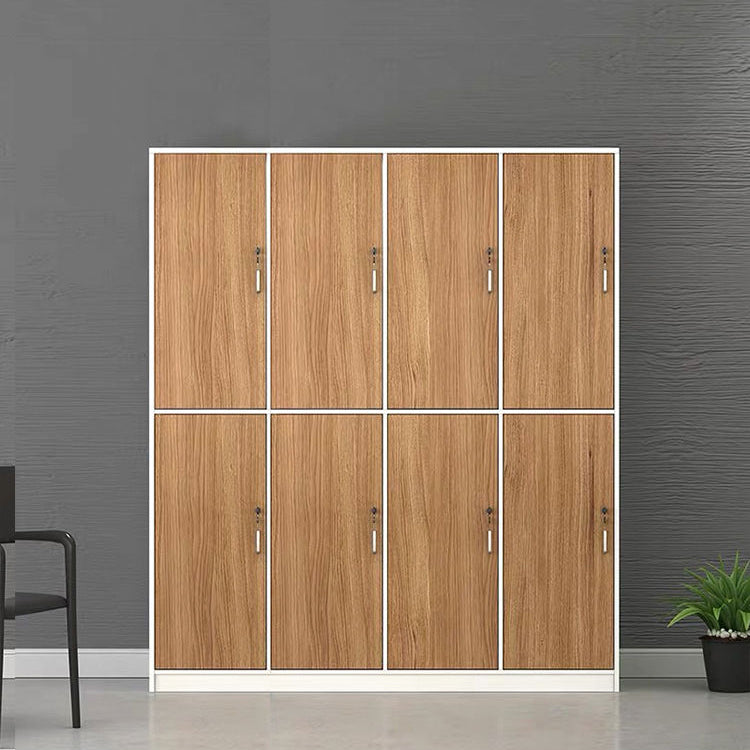 Contemporary Brown Storage Cabinet Manufactured Wood Hinged Door Cabinet