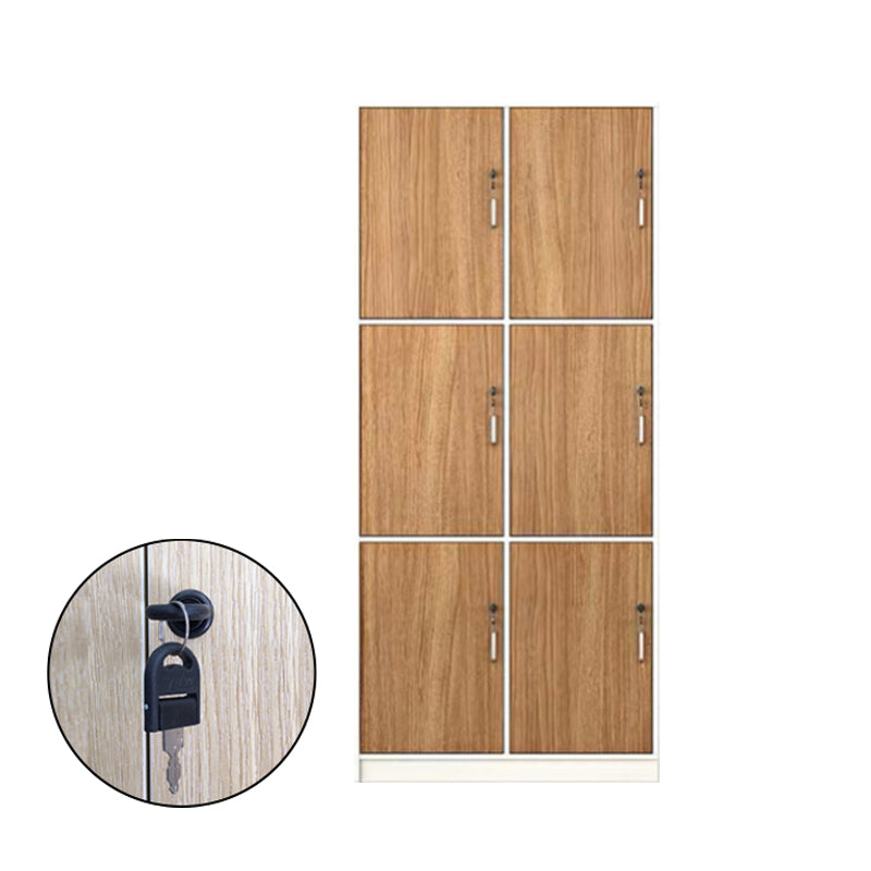 Contemporary Brown Storage Cabinet Manufactured Wood Hinged Door Cabinet