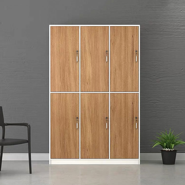 Contemporary Brown Storage Cabinet Manufactured Wood Hinged Door Cabinet