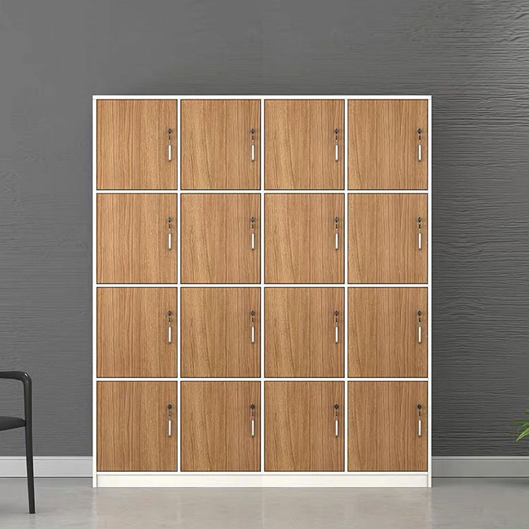 Contemporary Brown Storage Cabinet Manufactured Wood Hinged Door Cabinet