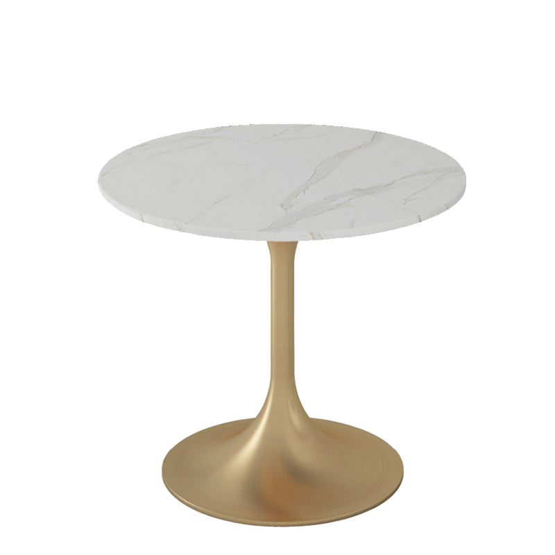 Glam Sintered Stone Dining Set Round 1/2/4/5 Pieces Dining Set for Home Use