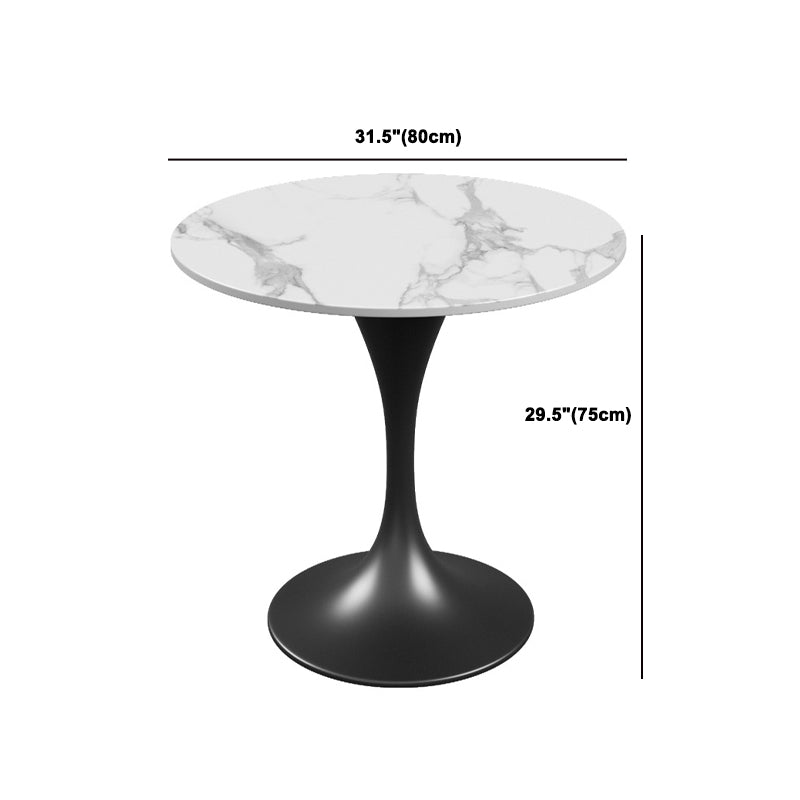 Modern Style Sintered Stone Dining Set Round 1/3/4/5 Pieces Dining Set for Home Use